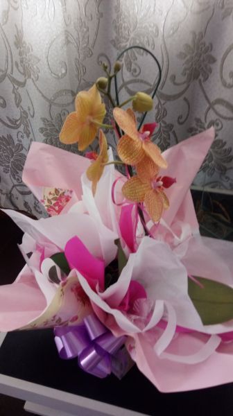 Orquídeas pra o dia das Mulheres
